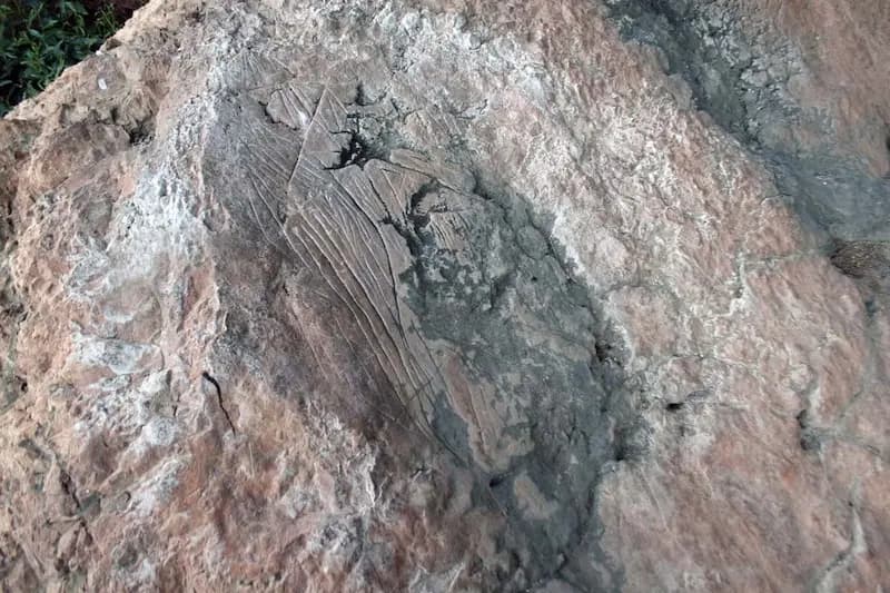 Paleolithic Cave Badanj