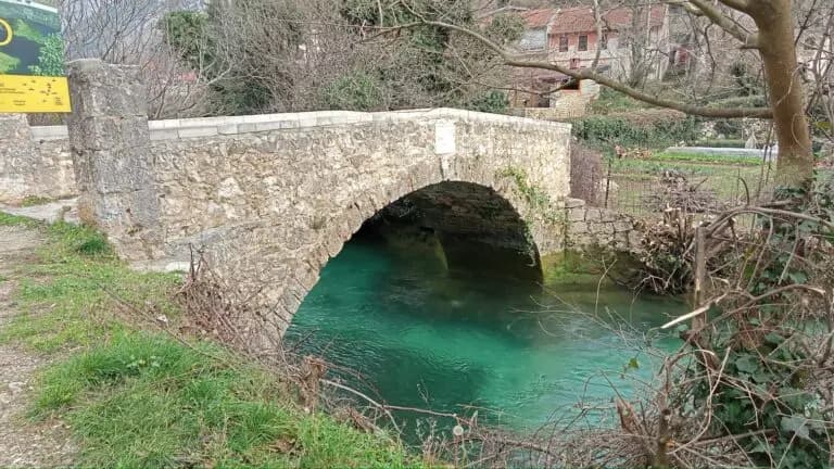 Sara's Bridge