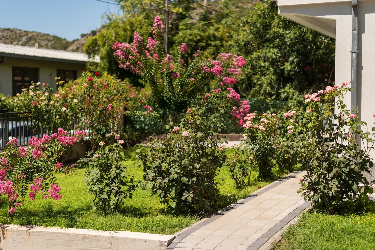 Exterior View Garden